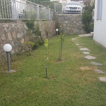 Holiday Gardens *
